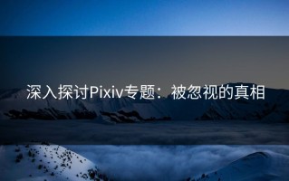 深入探讨Pixiv专题：被忽视的真相