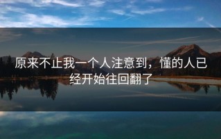 原来不止我一个人注意到，懂的人已经开始往回翻了