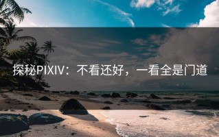探秘PIXIV：不看还好，一看全是门道