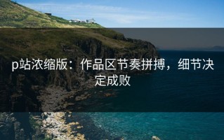 p站浓缩版：作品区节奏拼搏，细节决定成败