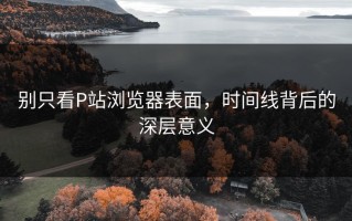 别只看P站浏览器表面，时间线背后的深层意义