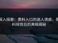 深入探索：黑料入口的迷人诱惑，黑料网背后的真相揭秘