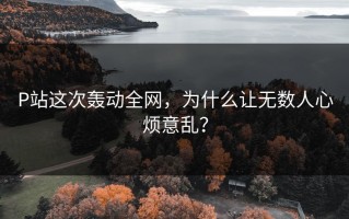 P站这次轰动全网，为什么让无数人心烦意乱？