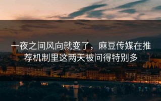 一夜之间风向就变了，麻豆传媒在推荐机制里这两天被问得特别多