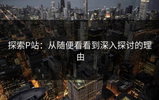 探索P站：从随便看看到深入探讨的理由