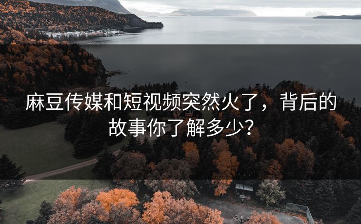 麻豆传媒和短视频突然火了，背后的故事你了解多少？-第1张图片-p站短视频 - p站助手精选网