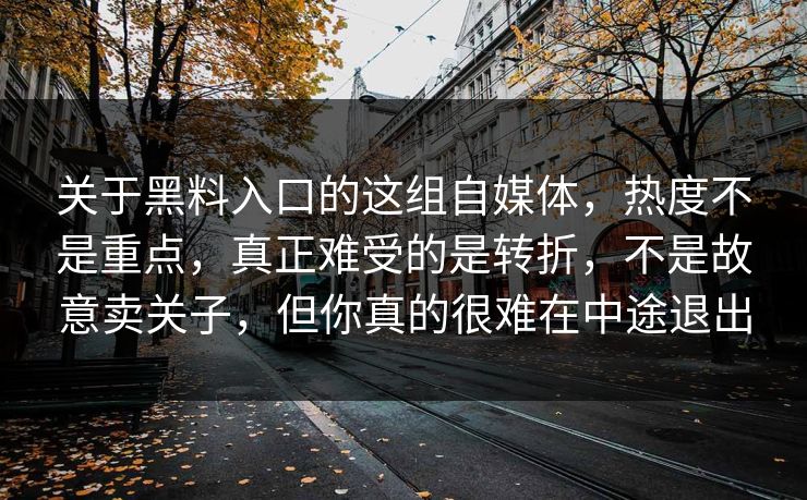 关于黑料入口的这组自媒体，热度不是重点，真正难受的是转折，不是故意卖关子，但你真的很难在中途退出-第1张图片-p站短视频 - p站助手精选网