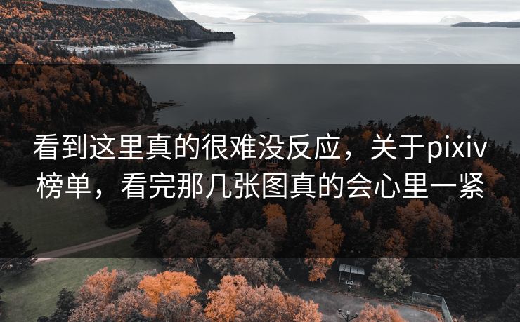 看到这里真的很难没反应，关于pixiv榜单，看完那几张图真的会心里一紧-第1张图片-p站短视频 - p站助手精选网