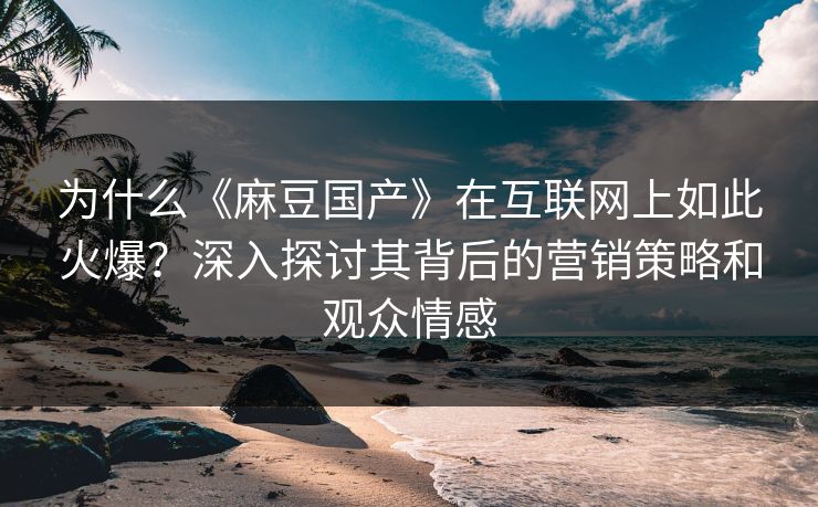 为什么《麻豆国产》在互联网上如此火爆？深入探讨其背后的营销策略和观众情感-第1张图片-p站短视频 - p站助手精选网