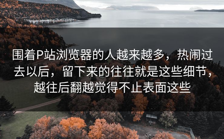 围着P站浏览器的人越来越多,热闹过去以后,留下来的往往就是这些细节,越往后翻越觉得不止表面这些-第1张图片-p站短视频 - p站助手精选网 围着P站浏览器的人越来越多,热闹过去以后,留下来的往往就是这些细节,越往后翻越觉得不止表面这些-第1张图片-p站短视频 - p站助手精选网