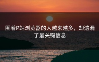 围着P站浏览器的人越来越多，却遗漏了最关键信息