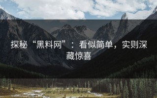 探秘“黑料网”：看似简单，实则深藏惊喜