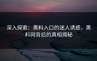 深入探索：黑料入口的迷人诱惑，黑料网背后的真相揭秘