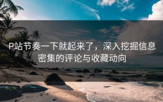 P站节奏一下就起来了，深入挖掘信息密集的评论与收藏动向